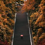 Momoyama No Yado