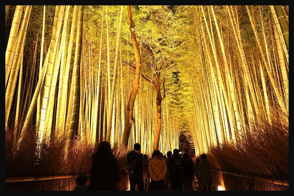 Casa de hóspedes Momoyama No Yado 2*