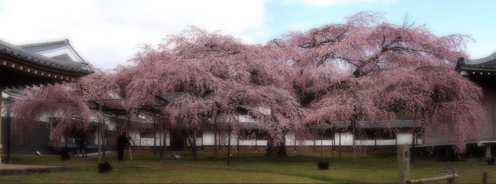Momoyama No Yado Casa de hóspedes 2*
